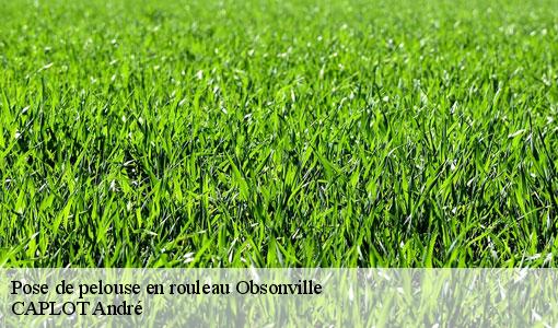 Pose de pelouse en rouleau obsonville-77890 CAPLOT André