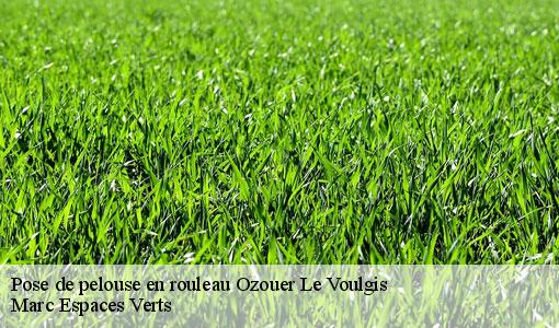 Pose de pelouse en rouleau  ozouer-le-voulgis-77390 Marc Espaces Verts 