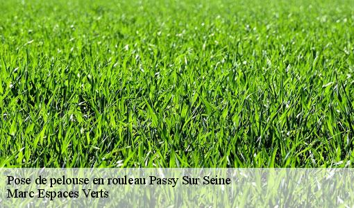 Pose de pelouse en rouleau  passy-sur-seine-77480 Marc Espaces Verts 