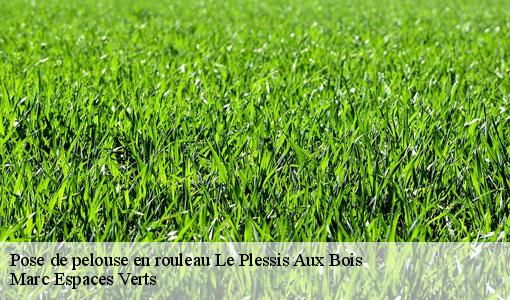 Pose de pelouse en rouleau  le-plessis-aux-bois-77165 Marc Espaces Verts 