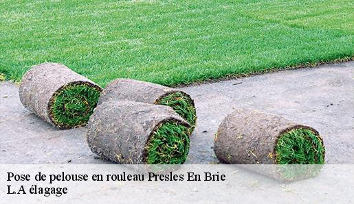Pose de pelouse en rouleau presles-en-brie-77220 L.A élagage