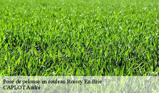 Pose de pelouse en rouleau roissy-en-brie-77680 CAPLOT André