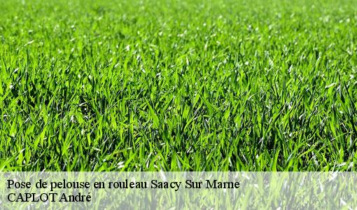 Pose de pelouse en rouleau  saacy-sur-marne-77730 CAPLOT André