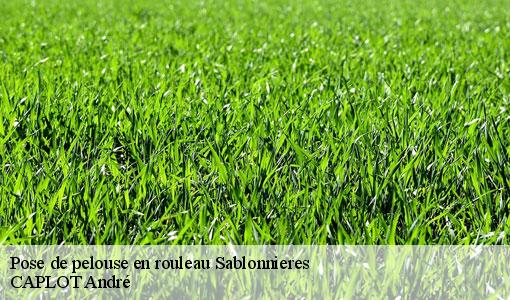 Pose de pelouse en rouleau  sablonnieres-77510 CAPLOT André