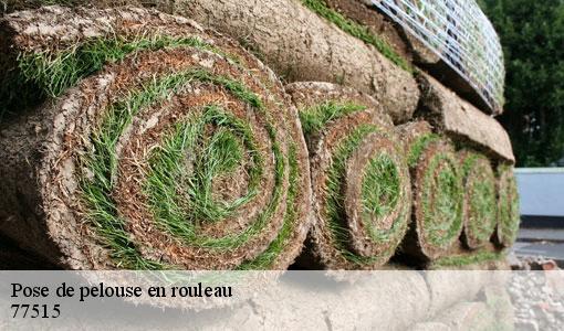 Pose de pelouse en rouleau  77515