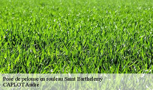 Pose de pelouse en rouleau  saint-barthelemy-77320 CAPLOT André