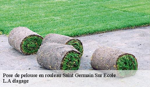 Pose de pelouse en rouleau saint-germain-sur-ecole-77930 L.A élagage