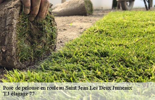 Pose de pelouse en rouleau  saint-jean-les-deux-jumeaux-77660 T.J élagage 77