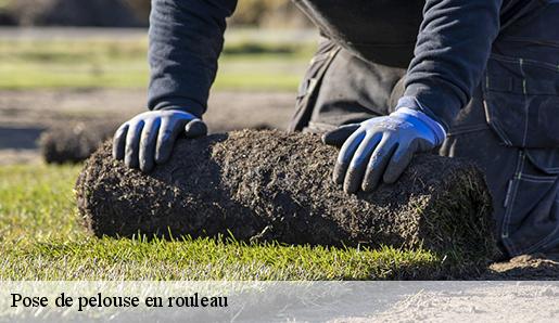 Pose de pelouse en rouleau 77650