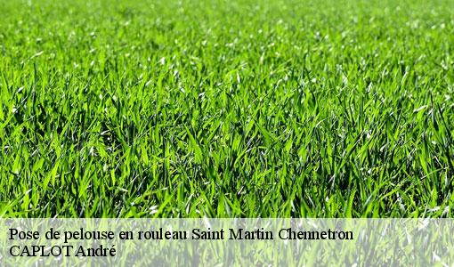 Pose de pelouse en rouleau  saint-martin-chennetron-77560 CAPLOT André