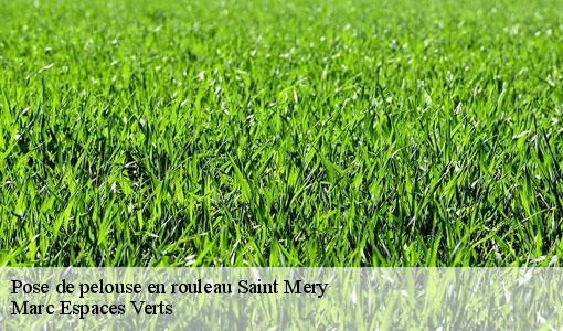 Pose de pelouse en rouleau  saint-mery-77720 Marc Espaces Verts 