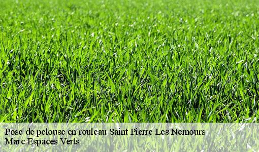 Pose de pelouse en rouleau  saint-pierre-les-nemours-77140 Marc Espaces Verts 