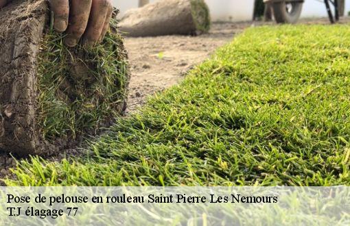 Pose de pelouse en rouleau  saint-pierre-les-nemours-77140 T.J élagage 77