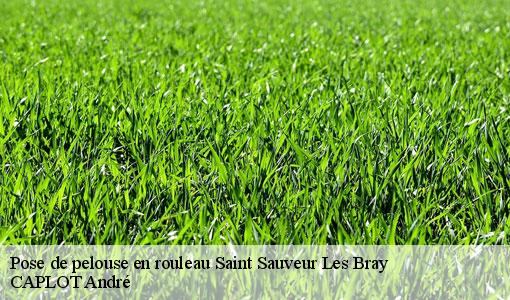Pose de pelouse en rouleau saint-sauveur-les-bray-77480 CAPLOT André