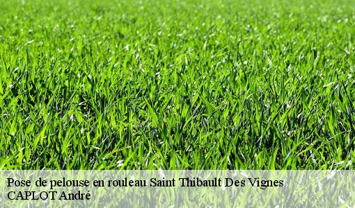 Pose de pelouse en rouleau saint-thibault-des-vignes-77400 CAPLOT André