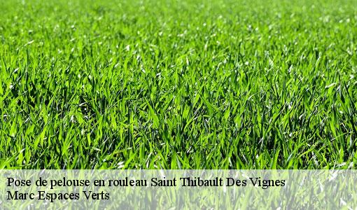 Pose de pelouse en rouleau  saint-thibault-des-vignes-77400 Marc Espaces Verts 