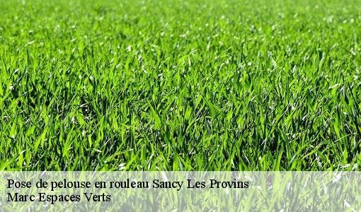 Pose de pelouse en rouleau  sancy-les-provins-77320 Marc Espaces Verts 
