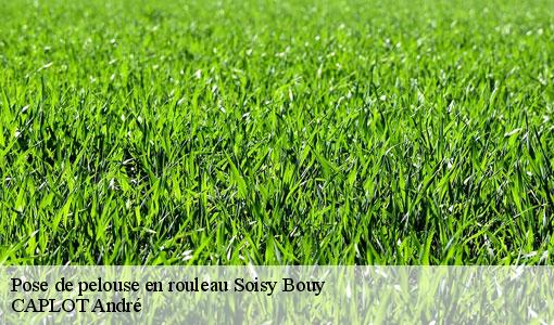 Pose de pelouse en rouleau soisy-bouy-77650 CAPLOT André