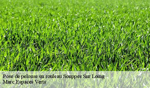 Pose de pelouse en rouleau  souppes-sur-loing-77460 Marc Espaces Verts 