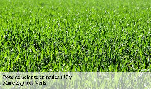 Pose de pelouse en rouleau  ury-77760 Marc Espaces Verts 