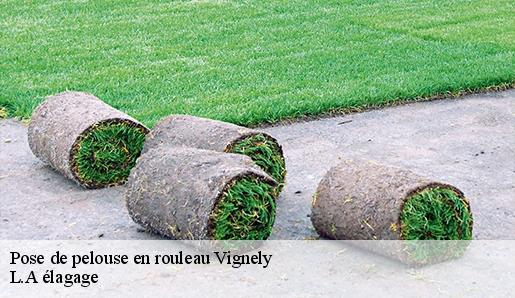 Pose de pelouse en rouleau vignely-77450 L.A élagage