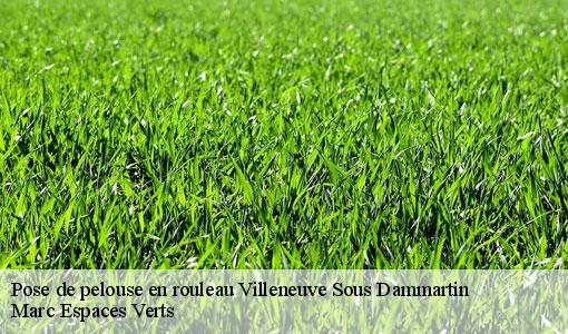Pose de pelouse en rouleau  villeneuve-sous-dammartin-77230 Marc Espaces Verts 