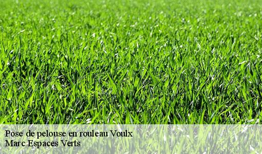 Pose de pelouse en rouleau  voulx-77940 Marc Espaces Verts 