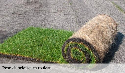 Pose de pelouse en rouleau  77410