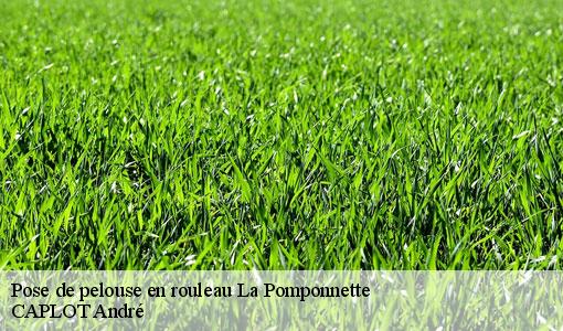 Pose de pelouse en rouleau la-pomponnette-77400 CAPLOT André