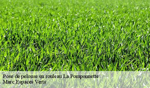Pose de pelouse en rouleau  la-pomponnette-77400 Marc Espaces Verts 