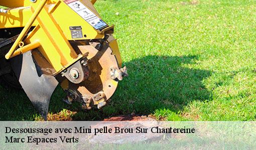 Dessoussage avec Mini pelle  brou-sur-chantereine-77177 Marc Espaces Verts 
