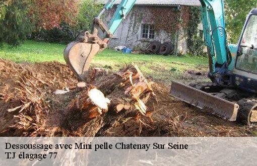 Dessoussage avec Mini pelle  chatenay-sur-seine-77126 T.J élagage 77