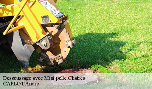 Dessoussage avec Mini pelle  chatres-77610 CAPLOT André