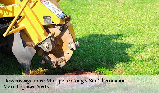 Dessoussage avec Mini pelle  congis-sur-therouanne-77440 Marc Espaces Verts 