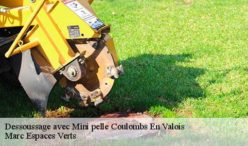 Dessoussage avec Mini pelle  coulombs-en-valois-77840 Marc Espaces Verts 