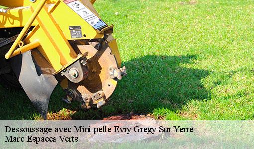 Dessoussage avec Mini pelle  evry-gregy-sur-yerre-77166 Marc Espaces Verts 