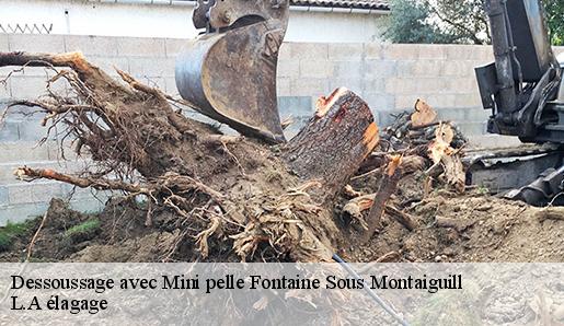 Dessoussage avec Mini pelle fontaine-sous-montaiguill-77560 L.A élagage