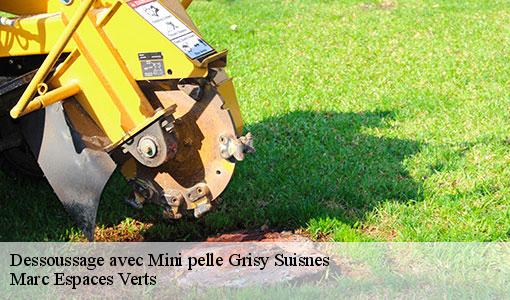Dessoussage avec Mini pelle  grisy-suisnes-77166 Marc Espaces Verts 