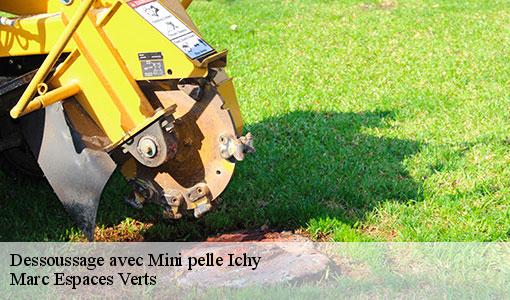 Dessoussage avec Mini pelle  ichy-77890 Marc Espaces Verts 