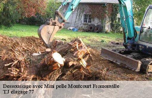 Dessoussage avec Mini pelle  montcourt-fromonville-77140 T.J élagage 77