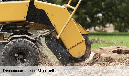 Dessoussage avec Mini pelle  77690