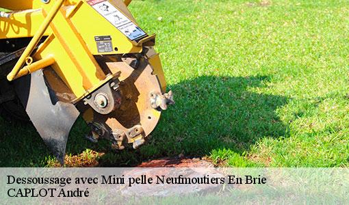 Dessoussage avec Mini pelle  neufmoutiers-en-brie-77610 CAPLOT André