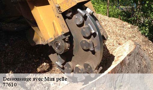 Dessoussage avec Mini pelle  77610