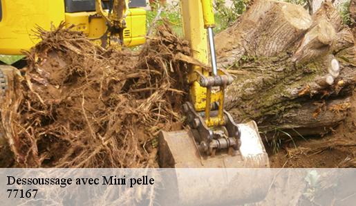 Dessoussage avec Mini pelle 77167