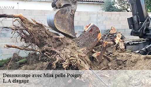 Dessoussage avec Mini pelle  poigny-77160 L.A élagage 