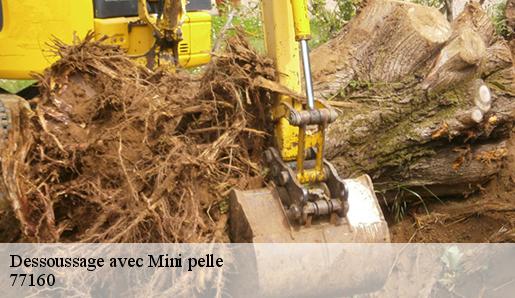 Dessoussage avec Mini pelle  77160