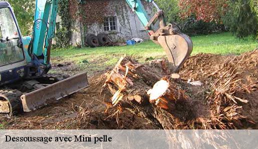 Dessoussage avec Mini pelle 77260