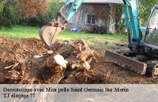 Dessoussage avec Mini pelle  saint-germain-sur-morin-77860 T.J élagage 77