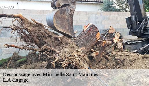 Dessoussage avec Mini pelle saint-mammes-77670 L.A élagage