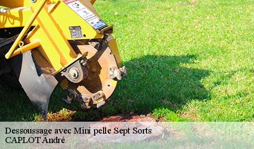 Dessoussage avec Mini pelle sept-sorts-77260 CAPLOT André
